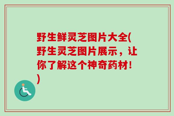 野生鲜灵芝图片大全(野生灵芝图片展示，让你了解这个神奇药材！)