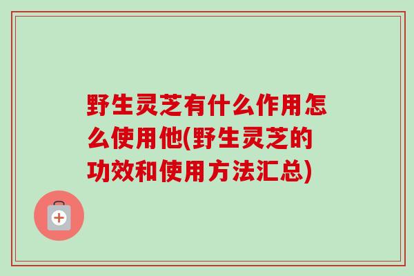野生灵芝有什么作用怎么使用他(野生灵芝的功效和使用方法汇总)