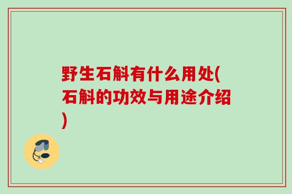 野生石斛有什么用处(石斛的功效与用途介绍)