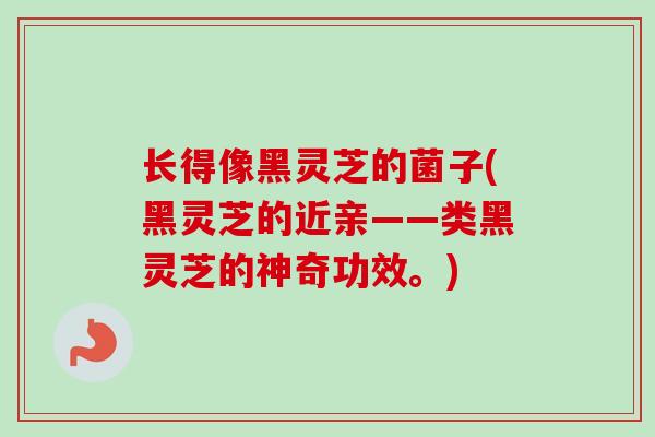 长得像黑灵芝的菌子(黑灵芝的近亲——类黑灵芝的神奇功效。)