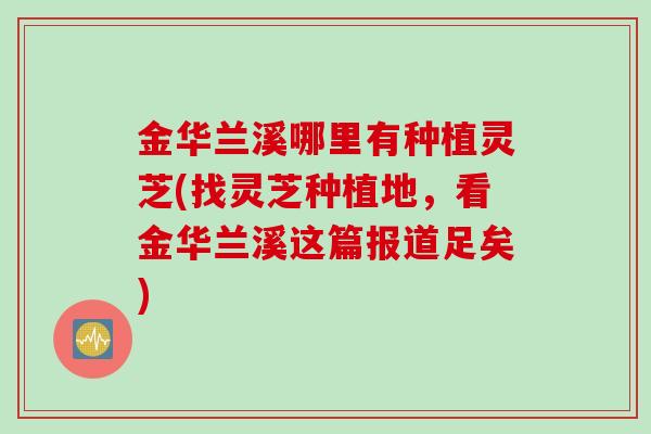 金华兰溪哪里有种植灵芝(找灵芝种植地，看金华兰溪这篇报道足矣)