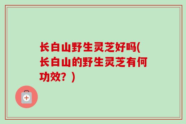 长白山野生灵芝好吗(长白山的野生灵芝有何功效？)