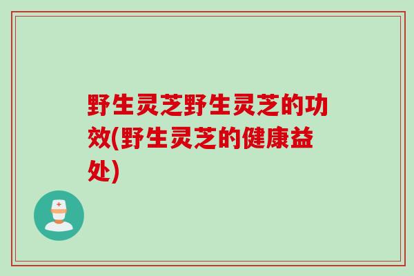 野生灵芝野生灵芝的功效(野生灵芝的健康益处)