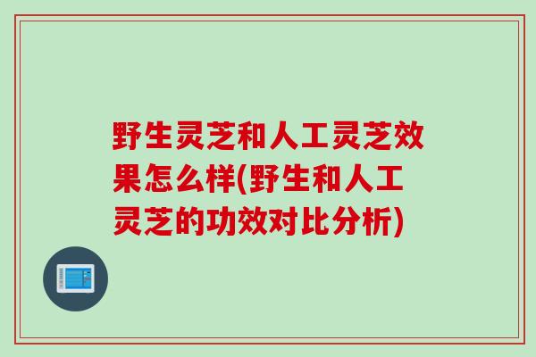野生灵芝和人工灵芝效果怎么样(野生和人工灵芝的功效对比分析) 野生灵芝和人工灵芝效果怎么样(野生和人工灵芝的功效对比分析)