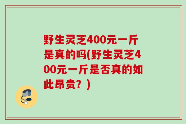 野生灵芝400元一斤是真的吗(野生灵芝400元一斤是否真的如此昂贵？)
