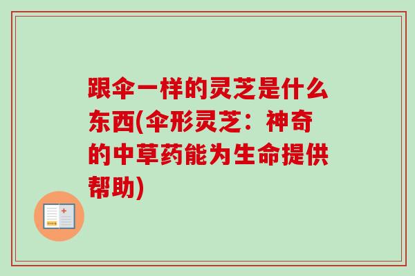 跟伞一样的灵芝是什么东西(伞形灵芝：神奇的中草药能为生命提供帮助)
