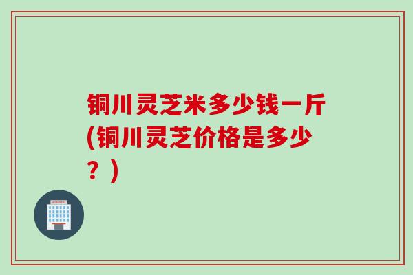 铜川灵芝米多少钱一斤(铜川灵芝价格是多少？)