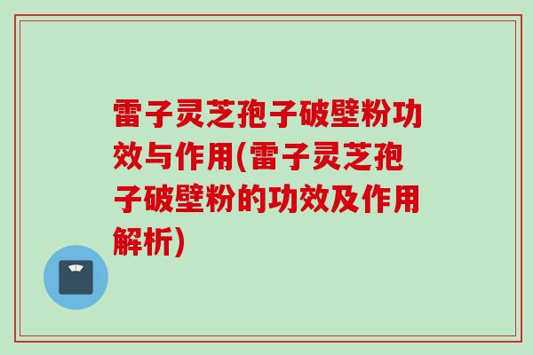 雷子灵芝孢子破壁粉功效与作用(雷子灵芝孢子破壁粉的功效及作用解析)