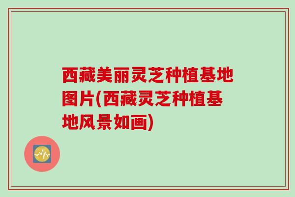 西藏美丽灵芝种植基地图片(西藏灵芝种植基地风景如画)