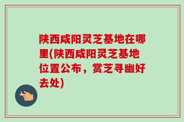 陕西咸阳灵芝基地在哪里(陕西咸阳灵芝基地位置公布，赏芝寻幽好去处)