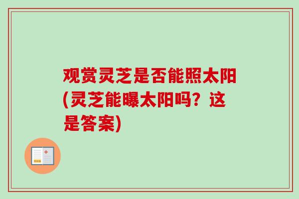 观赏灵芝是否能照太阳(灵芝能曝太阳吗?这是答案) 观赏灵芝是否能照太阳(灵芝能曝太阳吗?这是答案)
