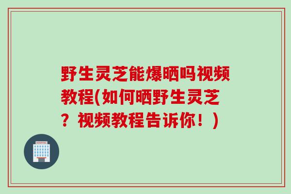 野生灵芝能爆晒吗视频教程(如何晒野生灵芝？视频教程告诉你！)