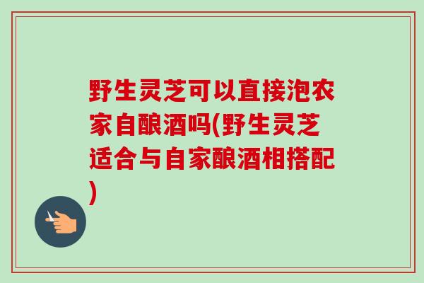 野生灵芝可以直接泡农家自酿酒吗(野生灵芝适合与自家酿酒相搭配) 野生灵芝可以直接泡农家自酿酒吗(野生灵芝适合与自家酿酒相搭配)