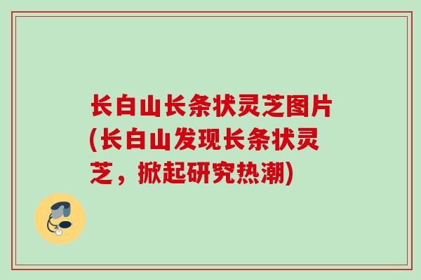 长白山长条状灵芝图片(长白山发现长条状灵芝，掀起研究热潮)