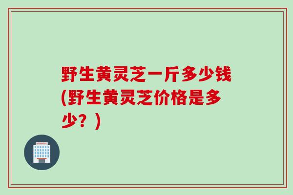 野生黄灵芝一斤多少钱(野生黄灵芝价格是多少？)