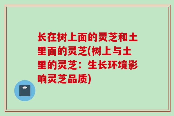 长在树上面的灵芝和土里面的灵芝(树上与土里的灵芝：生长环境影响灵芝品质)