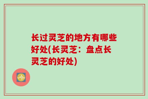 长过灵芝的地方有哪些好处(长灵芝：盘点长灵芝的好处)