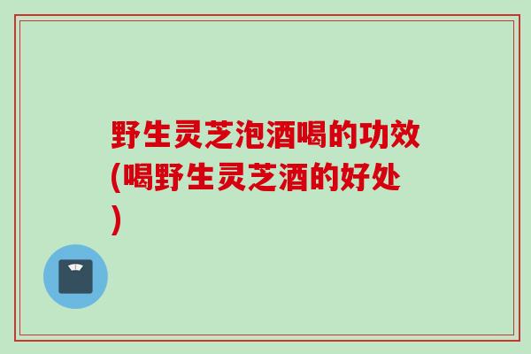 野生灵芝泡酒喝的功效(喝野生灵芝酒的好处)