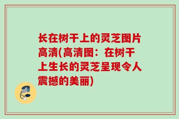长在树干上的灵芝图片高清(高清图：在树干上生长的灵芝呈现令人震撼的美丽)