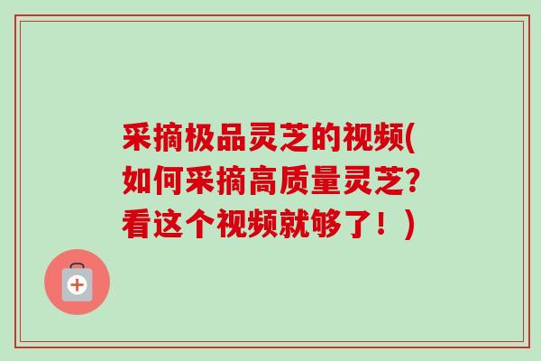采摘极品灵芝的视频(如何采摘高质量灵芝？看这个视频就够了！)