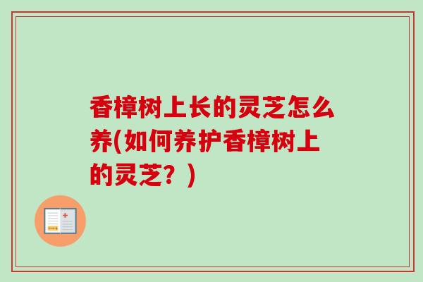 香樟树上长的灵芝怎么养(如何养护香樟树上的灵芝？)
