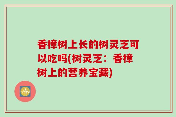 香樟树上长的树灵芝可以吃吗(树灵芝：香樟树上的营养宝藏)