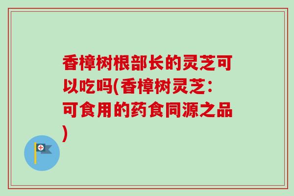 香樟树根部长的灵芝可以吃吗(香樟树灵芝:可食用的药食同源之品) 香樟树根部长的灵芝可以吃吗(香樟树灵芝:可食用的药食同源之品)