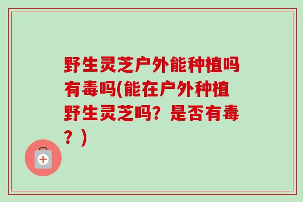 野生灵芝户外能种植吗有毒吗(能在户外种植野生灵芝吗?是否有毒?) 野生灵芝户外能种植吗有毒吗(能在户外种植野生灵芝吗?是否有毒?)