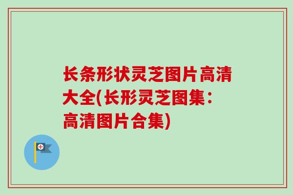 长条形状灵芝图片高清大全(长形灵芝图集：高清图片合集)