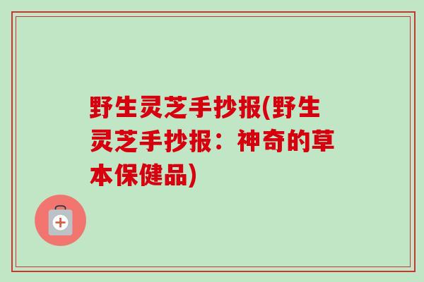 野生灵芝手抄报(野生灵芝手抄报：神奇的草本保健品)