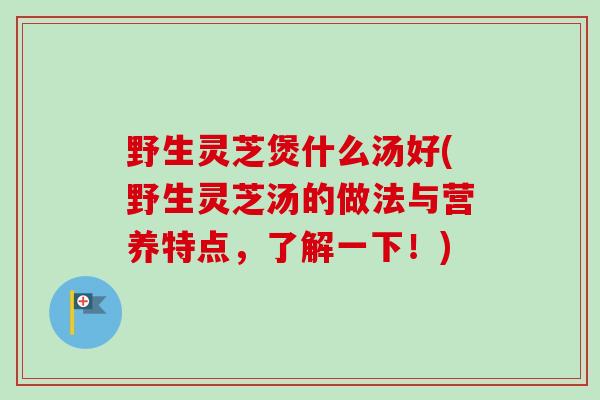 野生灵芝煲什么汤好(野生灵芝汤的做法与营养特点，了解一下！)