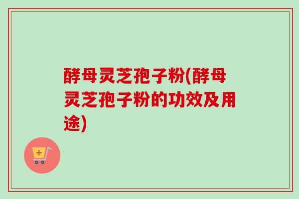 酵母灵芝孢子粉(酵母灵芝孢子粉的功效及用途)