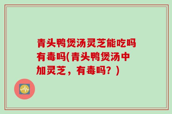 青头鸭煲汤灵芝能吃吗有毒吗(青头鸭煲汤中加灵芝，有毒吗？)