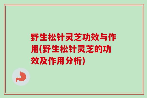 野生松针灵芝功效与作用(野生松针灵芝的功效及作用分析) 野生松针灵芝功效与作用(野生松针灵芝的功效及作用分析)