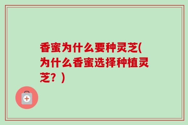 香蜜为什么要种灵芝(为什么香蜜选择种植灵芝？)