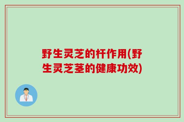 野生灵芝的杆作用(野生灵芝茎的健康功效)