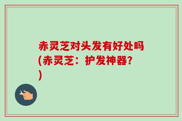 赤灵芝对头发有好处吗(赤灵芝:护发神器?) 赤灵芝对头发有好处吗(赤灵芝:护发神器?)