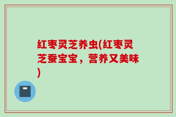 红枣灵芝养虫(红枣灵芝蚕宝宝，营养又美味)