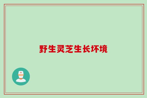 野生灵芝生长坏境