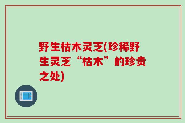 野生枯木灵芝(珍稀野生灵芝“枯木”的珍贵之处)