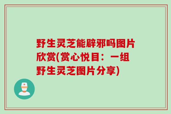 野生灵芝能辟邪吗图片欣赏(赏心悦目：一组野生灵芝图片分享)