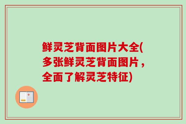 鲜灵芝背面图片大全(多张鲜灵芝背面图片，全面了解灵芝特征)