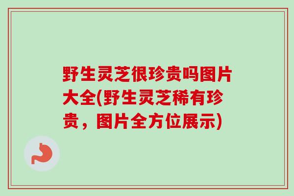 野生灵芝很珍贵吗图片大全(野生灵芝稀有珍贵，图片全方位展示)