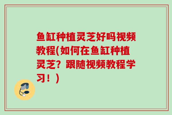 鱼缸种植灵芝好吗视频教程(如何在鱼缸种植灵芝？跟随视频教程学习！)
