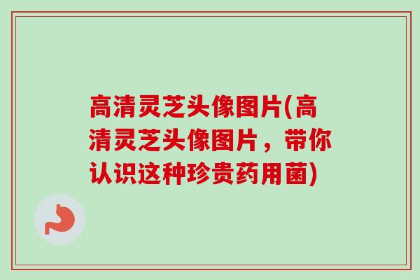 高清灵芝头像图片(高清灵芝头像图片，带你认识这种珍贵药用菌)