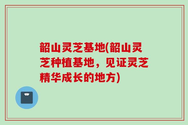 韶山灵芝基地(韶山灵芝种植基地，见证灵芝精华成长的地方)