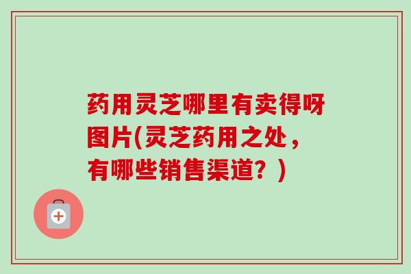 药用灵芝哪里有卖得呀图片(灵芝药用之处，有哪些销售渠道？)