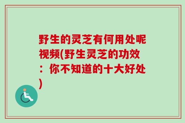野生的灵芝有何用处呢视频(野生灵芝的功效：你不知道的十大好处)