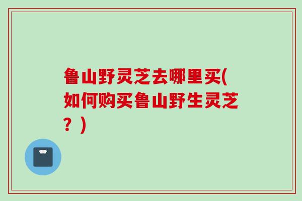 鲁山野灵芝去哪里买(如何购买鲁山野生灵芝？)