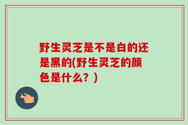 野生灵芝是不是白的还是黑的(野生灵芝的颜色是什么？)